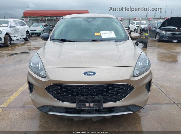 1FMCU0G63LUC36887 2020 FORD ESCAPE Gold Вид задньої частини салону