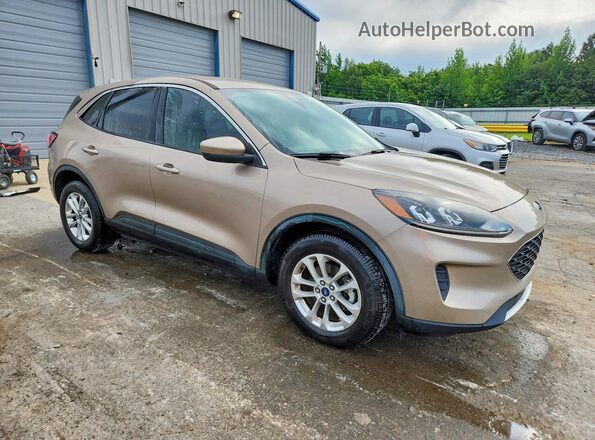 1FMCU0G65LUC68143 2020 FORD ESCAPE Желто-коричневый Передняя правая четверть