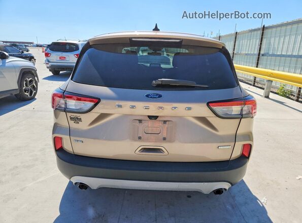 1FMCU0G68LUB02733 2020 FORD ESCAPE Tan უკანა ხედი
