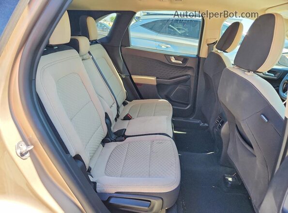 1FMCU0G68LUB02733 2020 FORD ESCAPE Tan უკანა სალონის ხედი