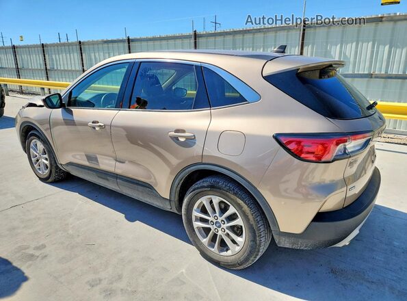 1FMCU0G68LUB02733 2020 FORD ESCAPE Tan უკანა მარცხენა