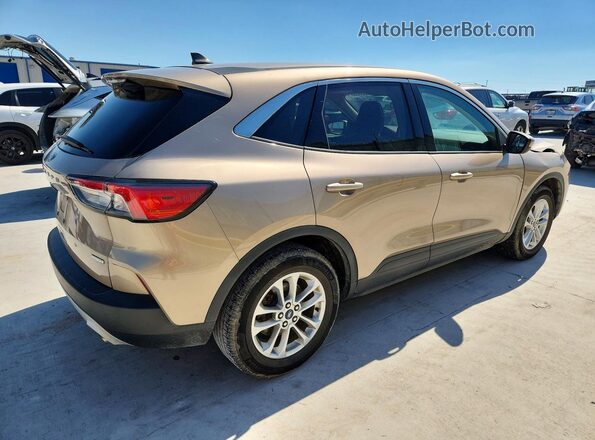 1FMCU0G68LUB02733 2020 FORD ESCAPE Tan უკანა მარჯვენა