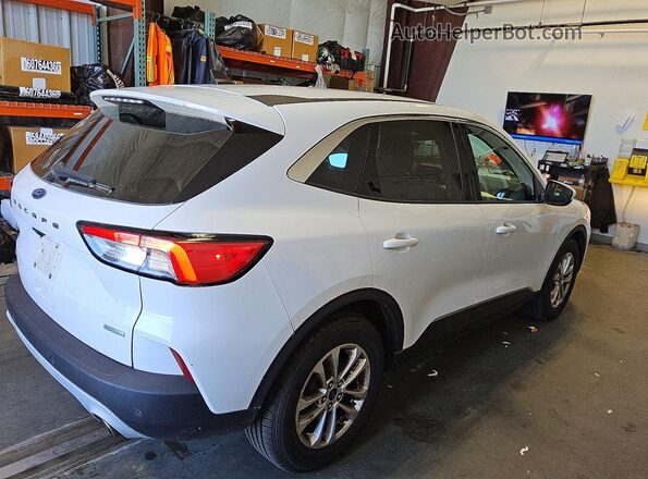 1FMCU0G69LUB13451 2020 FORD ESCAPE White Tył prawy