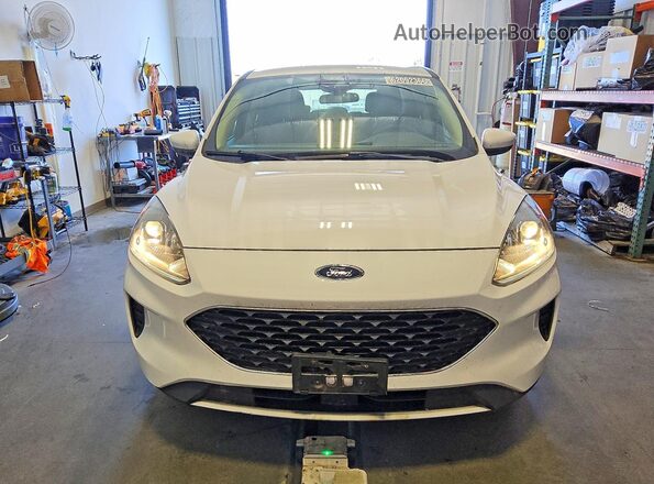1FMCU0G69LUB13451 2020 FORD ESCAPE White Widok z przodu