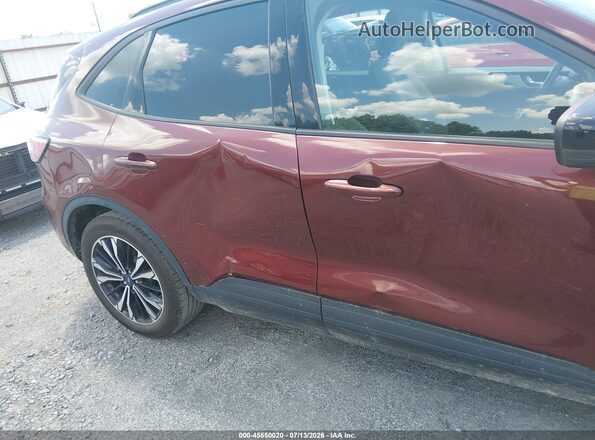 1FMCU0G69MUB34138 2021 FORD ESCAPE Burgundy 