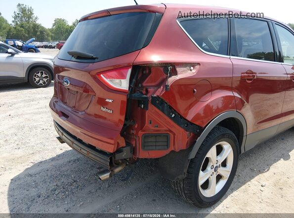 1FMCU0G74GUA64609 2016 FORD ESCAPE Red Widok z przodu