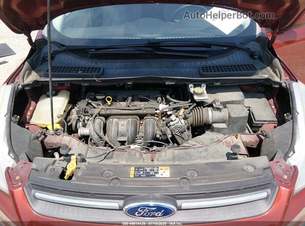 1FMCU0G74GUA64609 2016 FORD ESCAPE Red Widok z tyłu