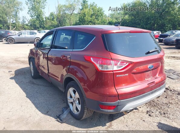 1FMCU0G76GUB78840 2016 FORD ESCAPE Red Tył lewy