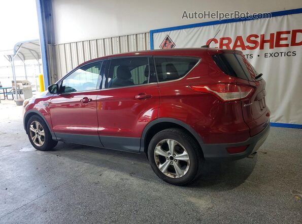 1FMCU0G79GUB13755 2016 FORD ESCAPE Red Trasero izquierdo