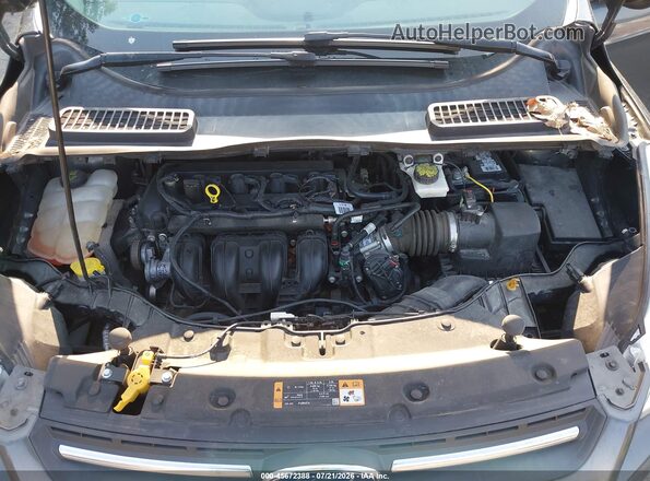 1FMCU0G7XGUC78472 2016 FORD ESCAPE Gray Widok z tyłu