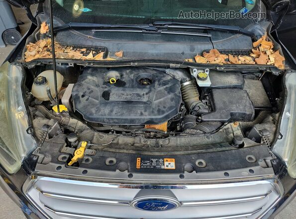 1FMCU0G91HUE91023 2017 FORD ESCAPE Black Սալոնի հետևի տեսք