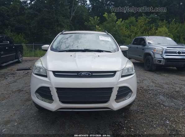 1FMCU0G94GUB89076 2016 FORD ESCAPE Белый Вид спереди