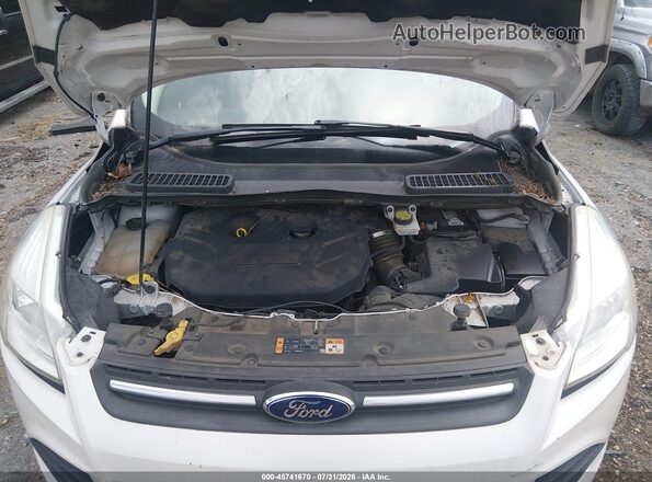 1FMCU0G94GUB89076 2016 FORD ESCAPE Белый Вид сзади