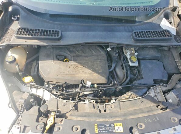 1FMCU0GD0HUD26634 2017 FORD ESCAPE Gold Rear interior view