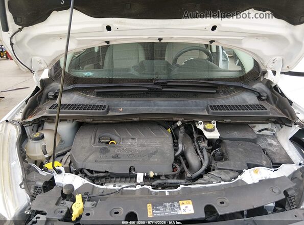 1FMCU0GD2JUC17095 2018 FORD ESCAPE White Հետևի տեսք