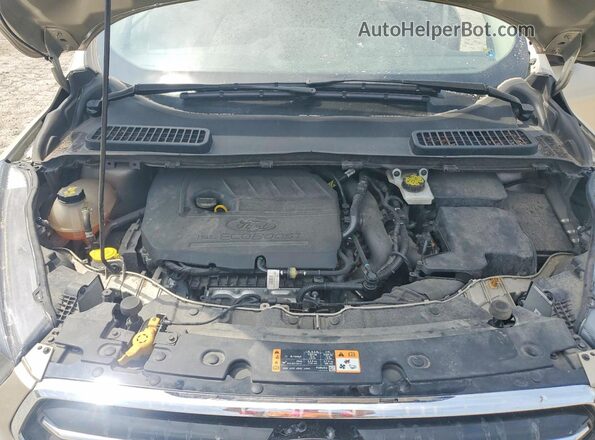 1FMCU0GD2JUD02714 2018 FORD ESCAPE Gold Շարժիչի բաժամունքի տեսք