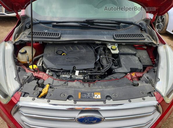 1FMCU0GD4HUA37207 2017 FORD ESCAPE Red Вид задньої частини салону