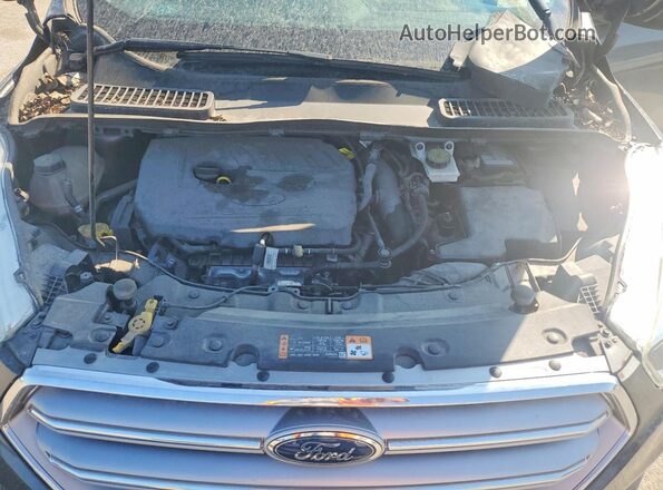 1FMCU0GD4HUE66928 2017 FORD ESCAPE Gray Widok wnętrza z tyłu