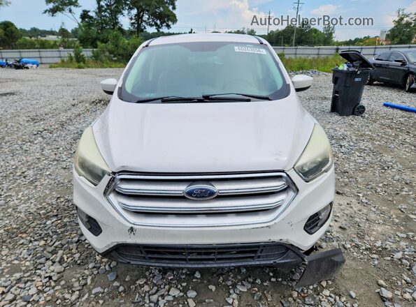 1FMCU0GD6HUD64045 2017 FORD ESCAPE Cream Front view