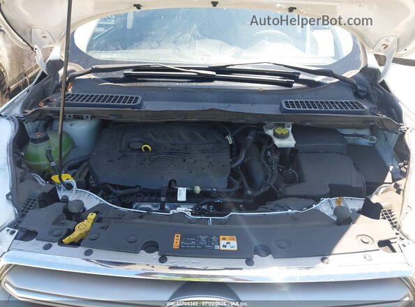 1FMCU0GD6HUF08371 2017 FORD ESCAPE White Հետևի տեսք