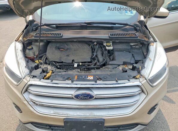 1FMCU0GD7JUC12491 2018 FORD ESCAPE Gold Սալոնի հետևի տեսք