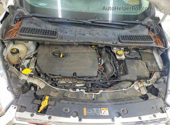 1FMCU0GD7JUD35966 2018 FORD ESCAPE White Շարժիչի բաժամունքի տեսք
