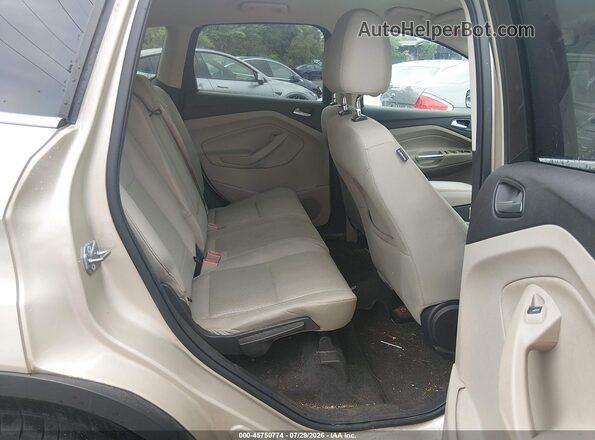 1FMCU0GD8HUA40255 2017 FORD ESCAPE Gold VIN կոդի պիտակի տեսք