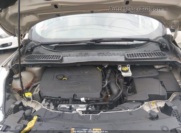 1FMCU0GD8HUA40255 2017 FORD ESCAPE Gold Հետևի տեսք