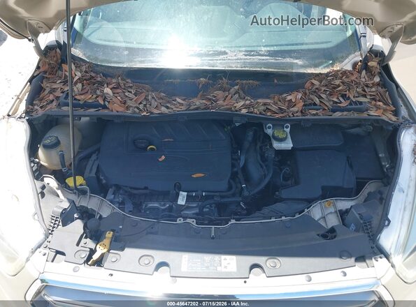 1FMCU0GD9HUA57758 2017 FORD ESCAPE Champagne Rear view