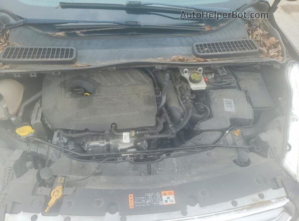 1FMCU0GD9HUC76834 2017 FORD ESCAPE Black Вид задньої частини салону