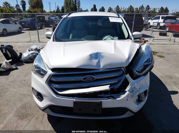 1FMCU0GDXHUE74712 2017 FORD ESCAPE Белый Вид задней части салона
