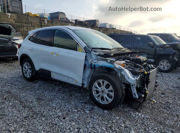 1FMCU0GN6RUB44415 2024 FORD ESCAPE White Передня права чверть