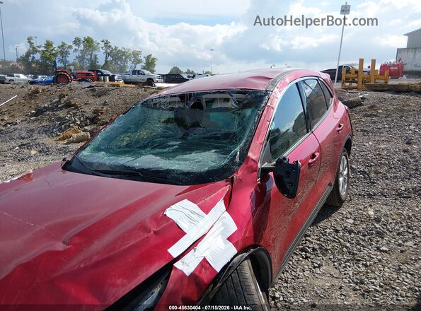 1FMCU0GNXPUB27095 2023 FORD ESCAPE Red Widok z przodu