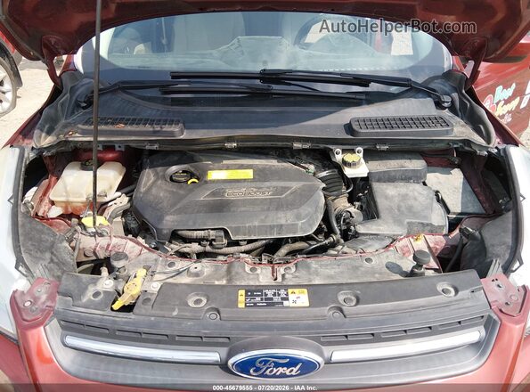 1FMCU0GX1GUA82811 2016 FORD ESCAPE Красный Вид сзади