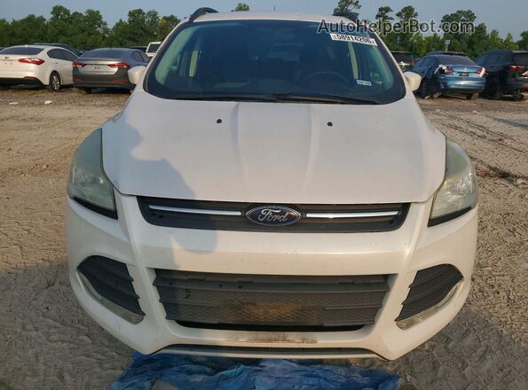 1FMCU0GX2GUA09415 2016 FORD ESCAPE White წინა ხედი