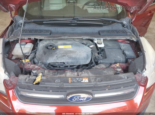 1FMCU0GX2GUB35743 2016 FORD ESCAPE Red Widok z tyłu