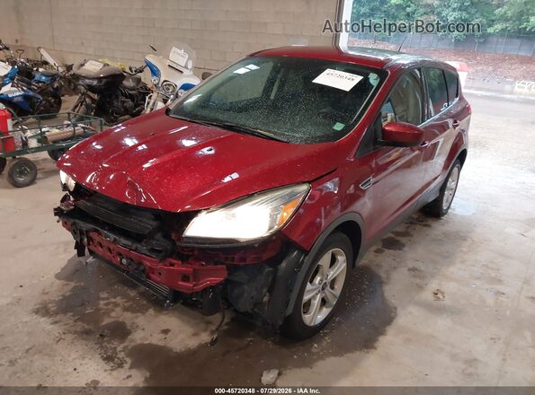 1FMCU0GX4GUB54777 2016 FORD ESCAPE Red Przód lewy