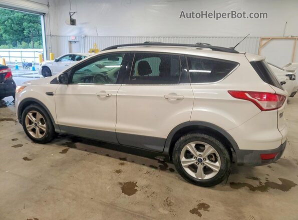 1FMCU0GX5GUB29984 2016 FORD ESCAPE White Trasero izquierdo