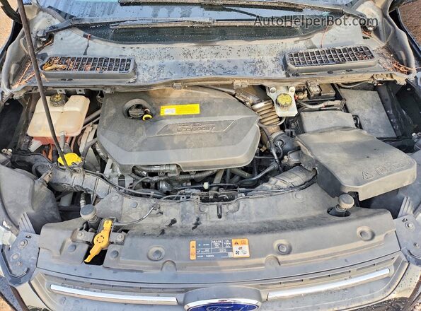 1FMCU0GX6GUC55478 2016 FORD ESCAPE Black Սալոնի հետևի տեսք