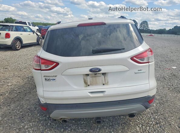 1FMCU0GX7GUC57885 2016 FORD ESCAPE White Widok z tyłu