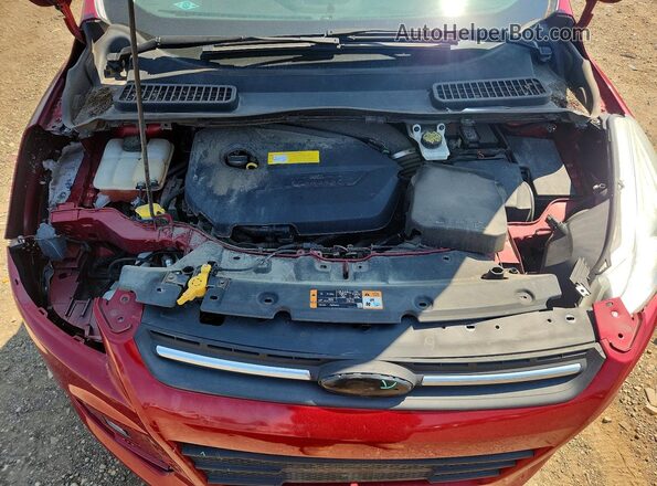 1FMCU0GX9GUB44522 2016 FORD ESCAPE Red Rear interior view