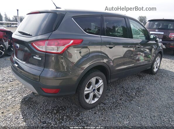 1FMCU0GX9GUB61255 2016 FORD ESCAPE Gray უკანა მარჯვენა