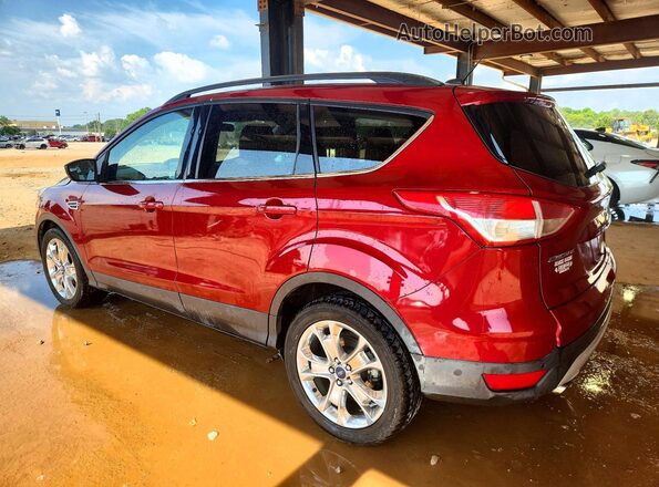 1FMCU0GXXGUC19082 2016 FORD ESCAPE Red Rear left