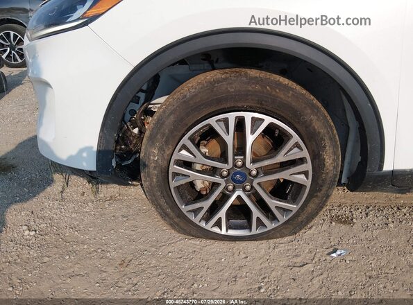 1FMCU0H64LUC24357 2020 FORD ESCAPE Белый Вид спереди