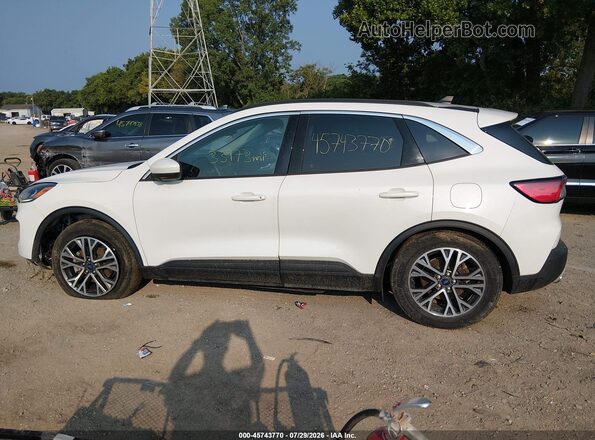 1FMCU0H64LUC24357 2020 FORD ESCAPE Белый Панорамный вид салона 360°