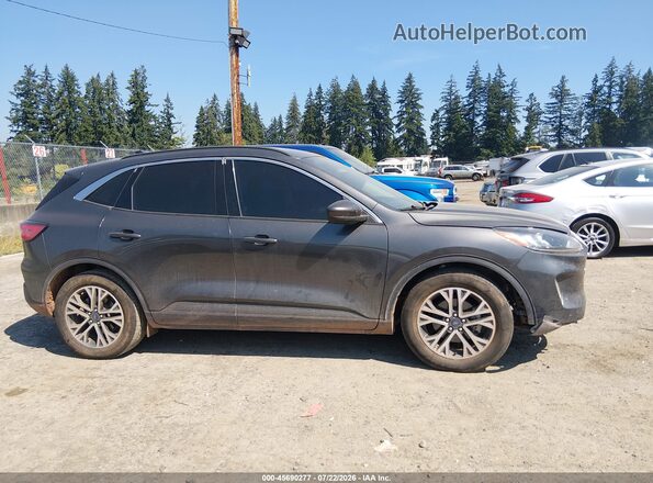 1FMCU0H67LUC13918 2020 FORD ESCAPE Gray Սալոնի 360 աստիճան տեսք
