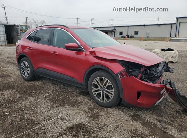 1FMCU0H67MUB24321 2021 FORD ESCAPE Red წინა მარჯვენა