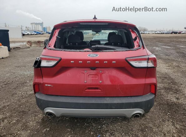 1FMCU0H67MUB24321 2021 FORD ESCAPE Red უკანა ხედი