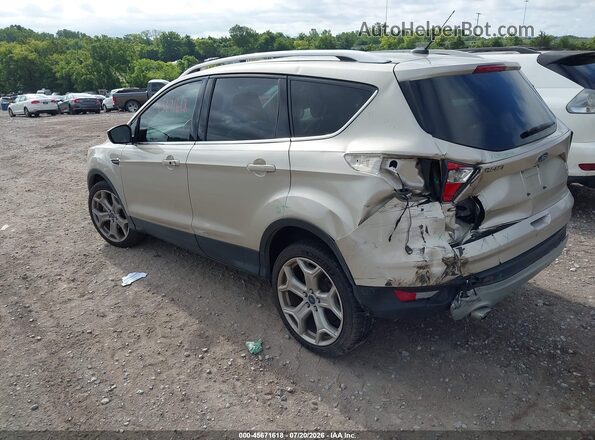 1FMCU0J92HUD76116 2017 FORD ESCAPE Champagne Задняя левая четверть