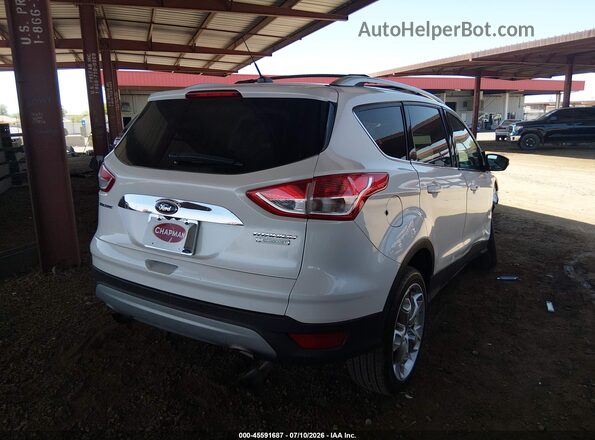 1FMCU0J95GUA09192 2016 FORD ESCAPE White უკანა მარჯვენა